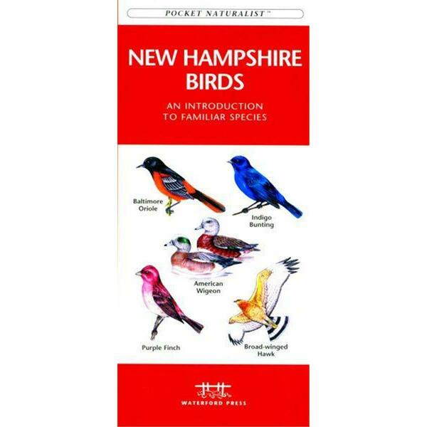 Waterford Press New Hampshire Birds Book: An Introduction to Familiar Species State Nature Guides WFP1583551714